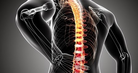 dolore vertebrale